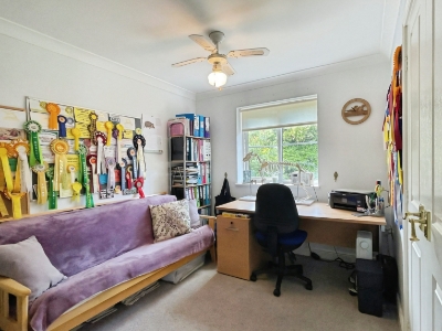 Picture 37